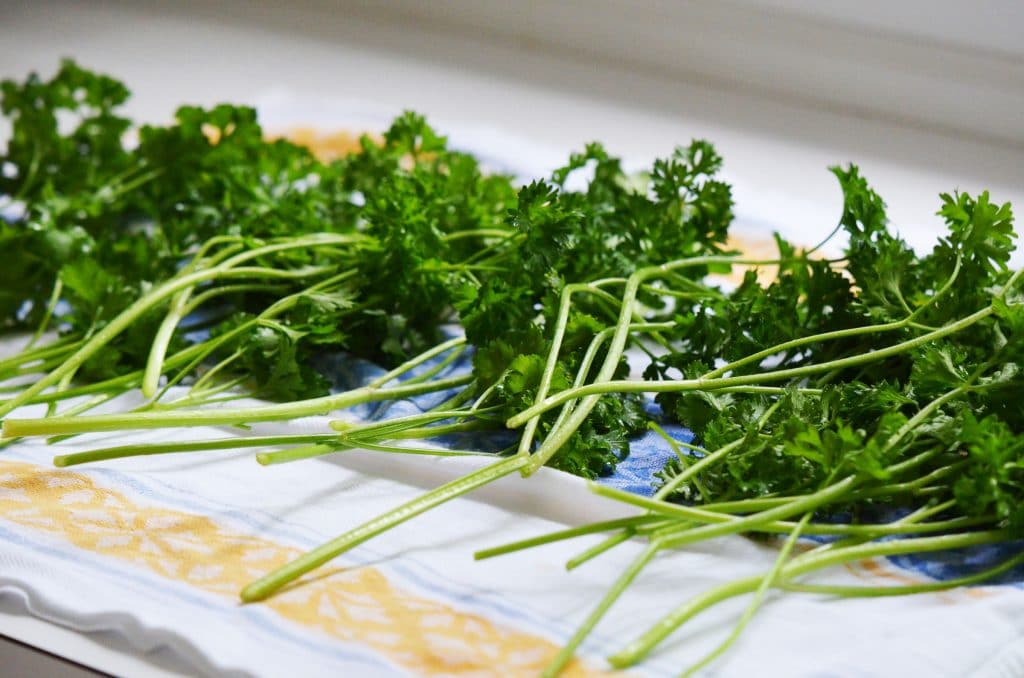 Parsley Cutter- Cilantro Cutter- Tabbouleh Machine by Spinning