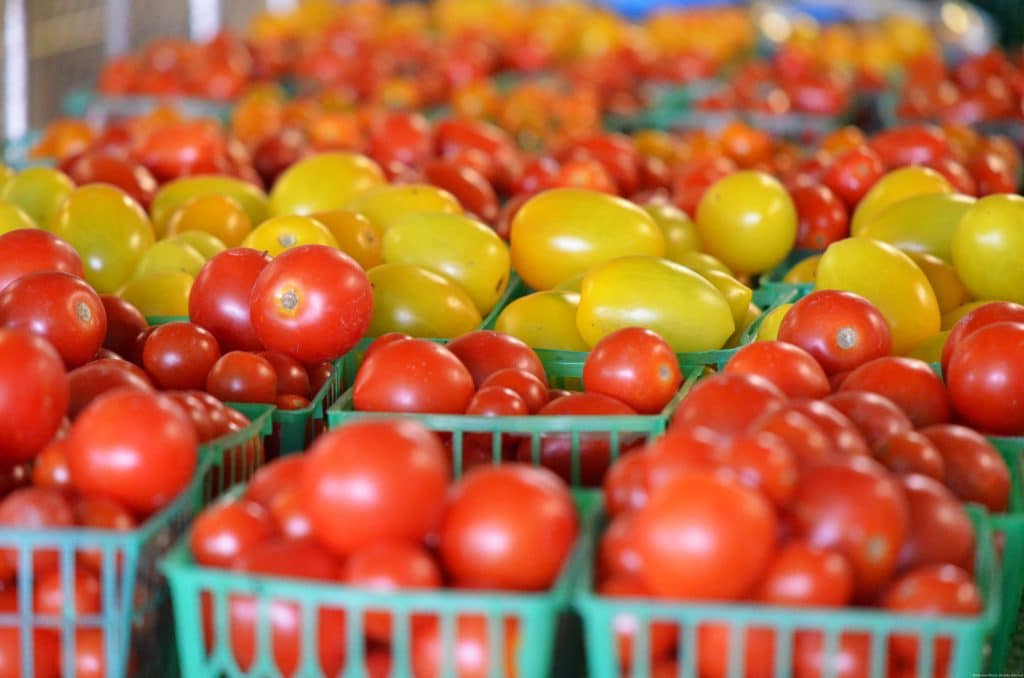 Lebanese Tomato Salad Let Juice Run Down Your Chin Rose Water