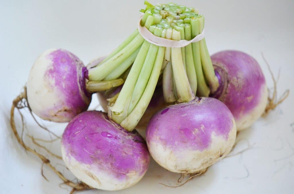 bunch of turnips with purple skin held by a rubber band