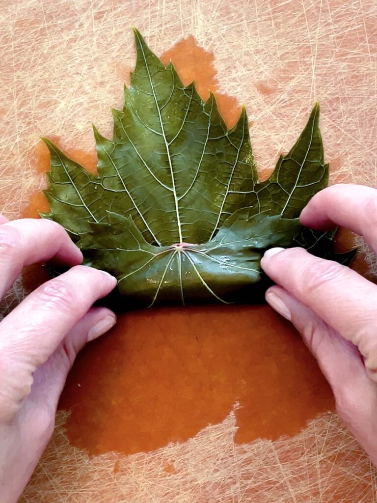 A grape leaf rolled with two hands