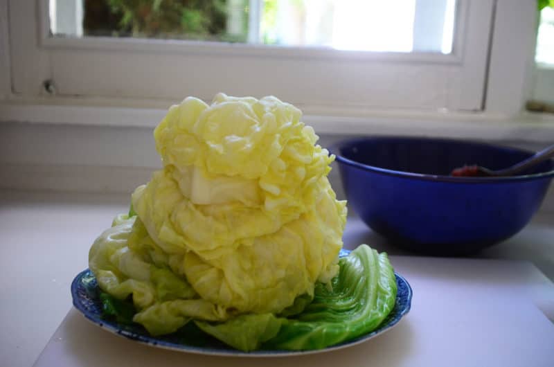 Easy Cabbage Salad with Garlic and Lemon - Maureen Abood