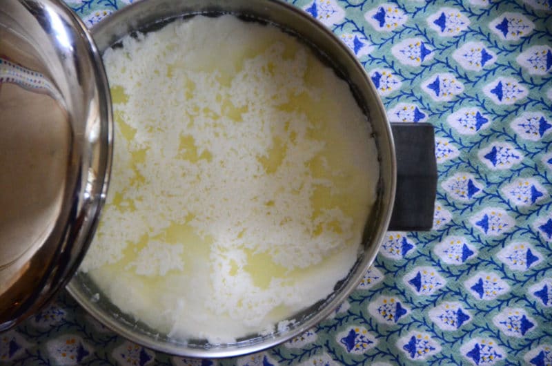 Jibin curd, Maureen Abood