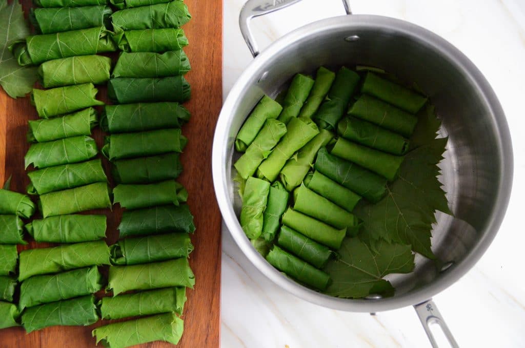 Vegetarian Grapeleaves, MaureenAbood.com