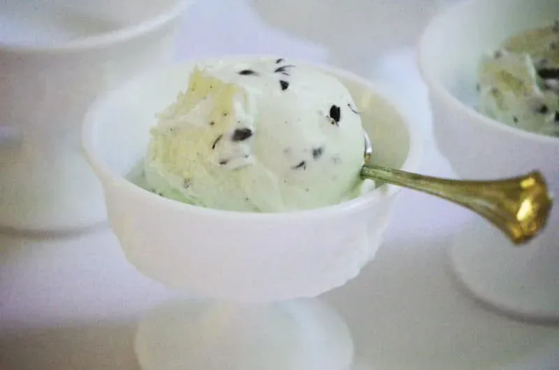 Fresh Mint Chip Ice Cream