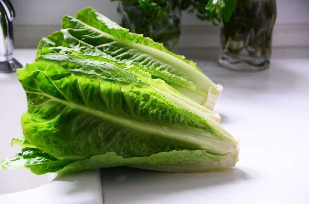 romaine lettuce on a white countertop
