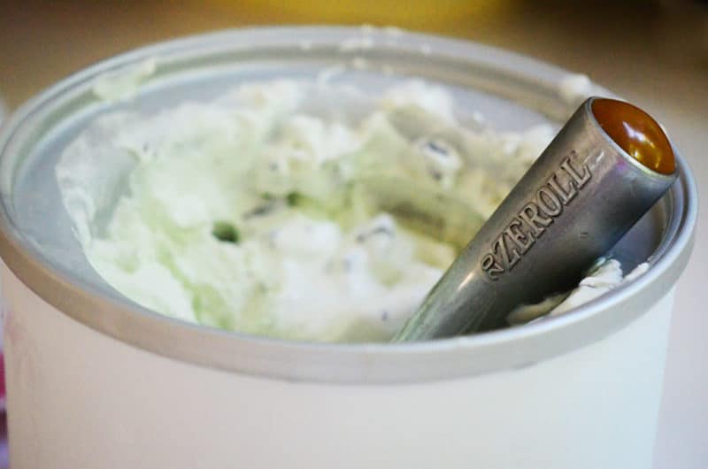 Fresh Mint Chip Ice Cream, and a melting moment - Maureen Abood