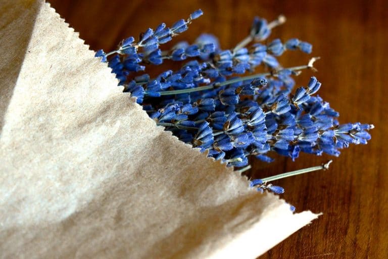 Ingredient Edible Dried Lavender Maureen Abood