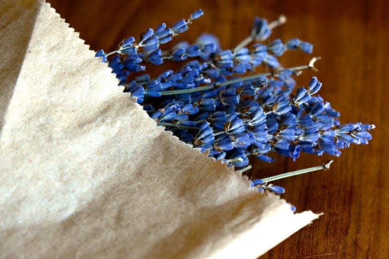 Ingredient Edible Dried Lavender Maureen Abood