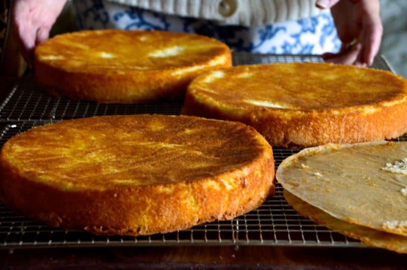 Semolina Coconut Cake with Sugared Rose Petals - Maureen Abood