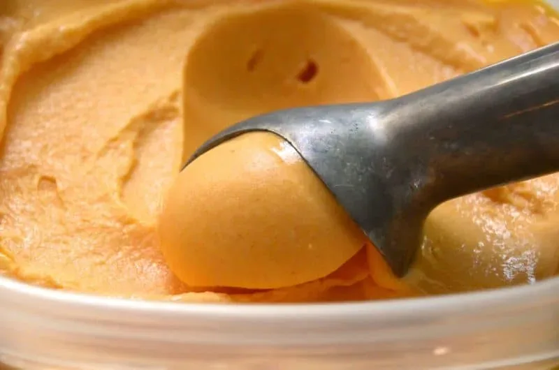 Apricot Sherbet