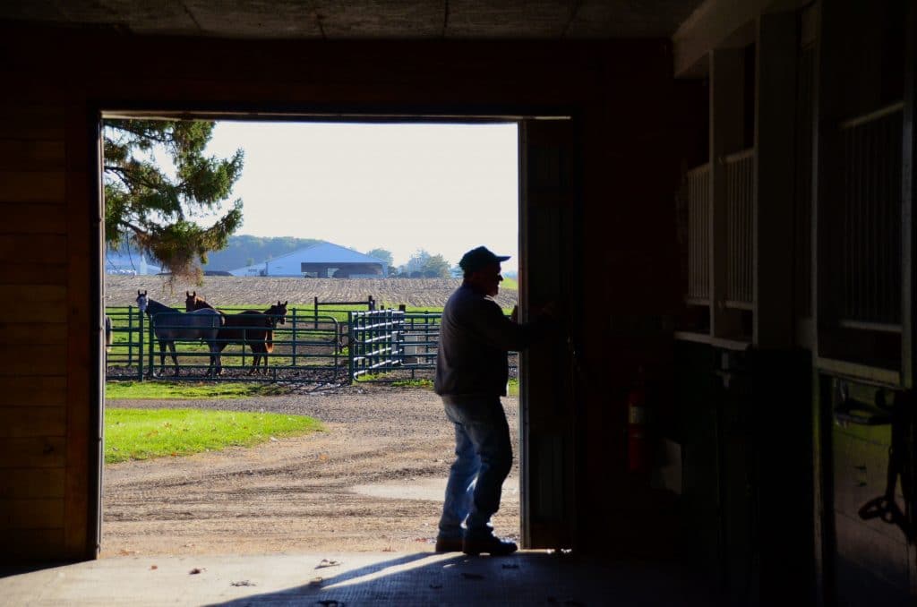 Horse Farm MSU 4, Maureen Abood