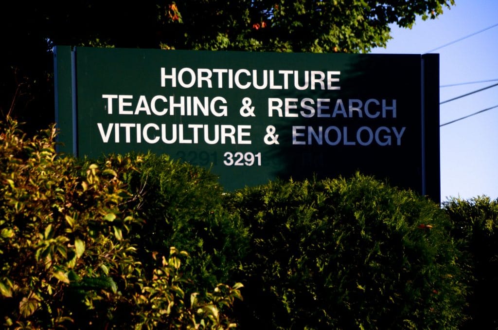 Horticulture MSU, Maureen Abood