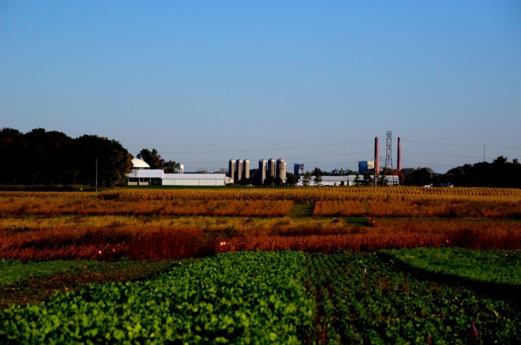 MSU farms, Maureen Abood