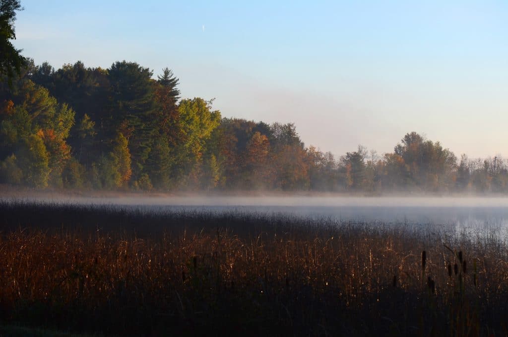 Misty bay