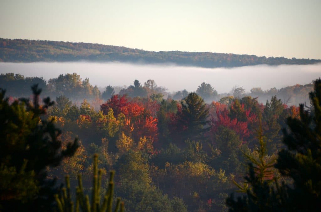 Pickerel Lake fall mist