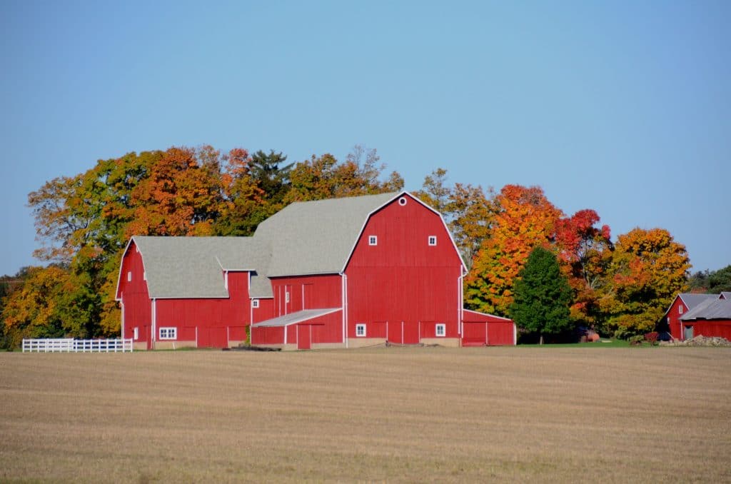 Sarahs favorite barn, Maureen Abood