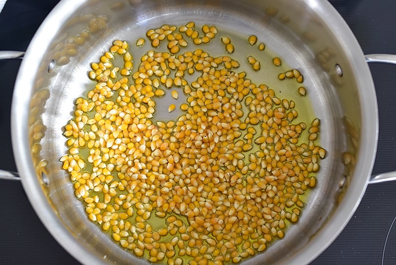 Popcorn kernels in oil in a steel pot on the stove
