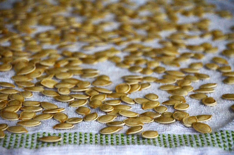 Drying pumpkin seeds, Maureen Abood