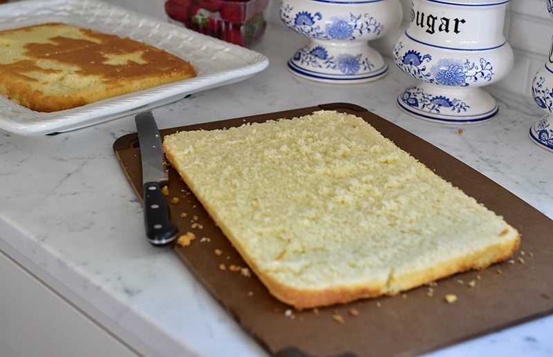 Sliced Cake, Maureen Abood.com