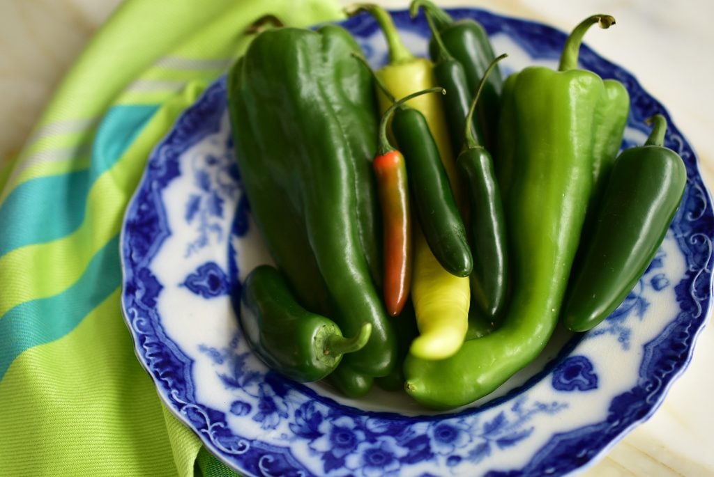 Green chili peppers arranged in a blue bowl