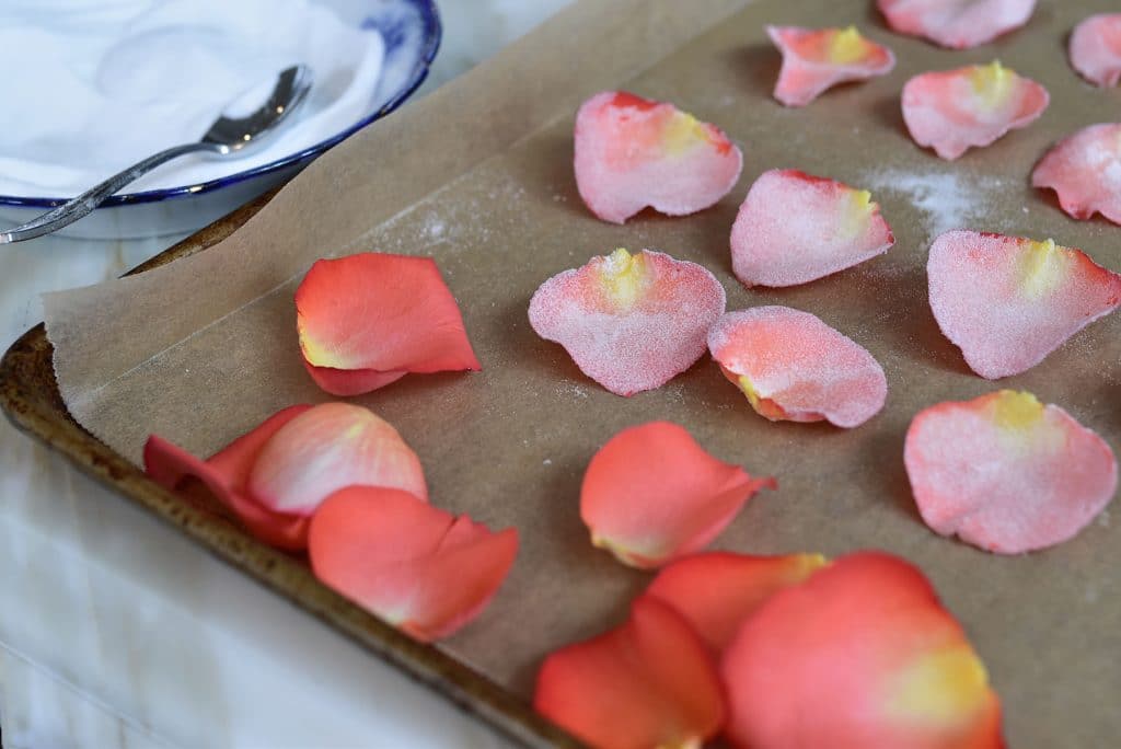 Fresh and sugared rose petals on a sheet pan, with a bowl of sugar off to the side