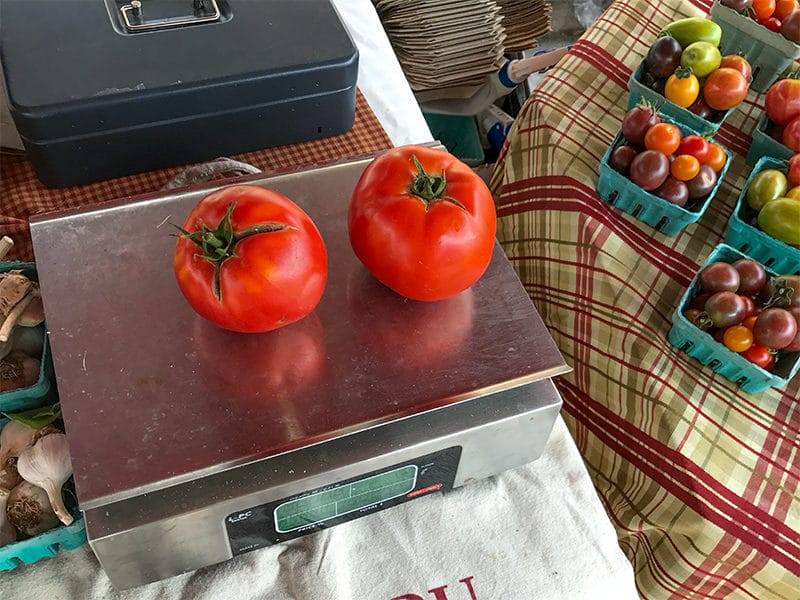 Red tomatoes on the scale at the farmer's market, Maureen Abood