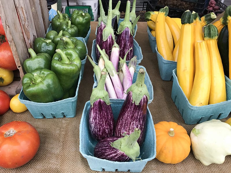 Eggplant at the farmers market, surrounded by squash, peppers, and tomatoes, Maureen Abood