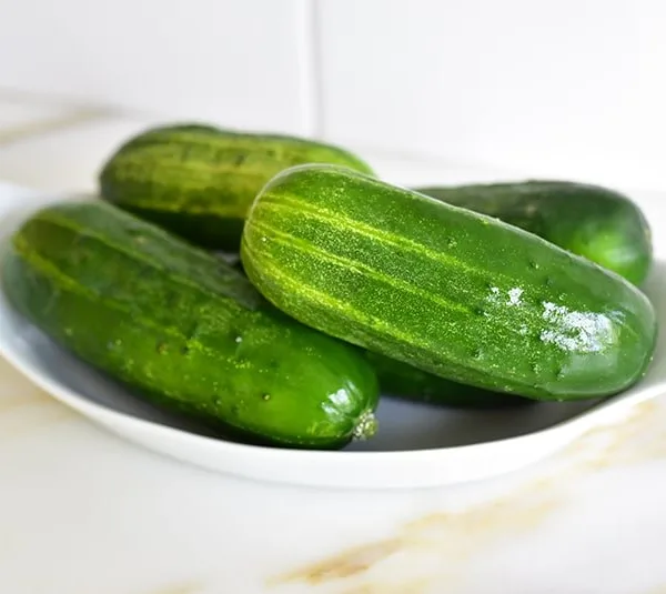 Pickling cucumbers in a gratin dish on the counter