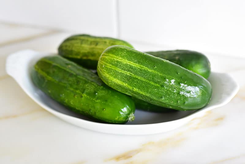 Pickling cucumbers in a gratin dish on the counter