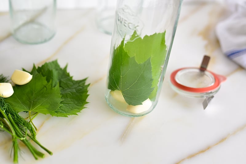 Grape leaves in a weck jar