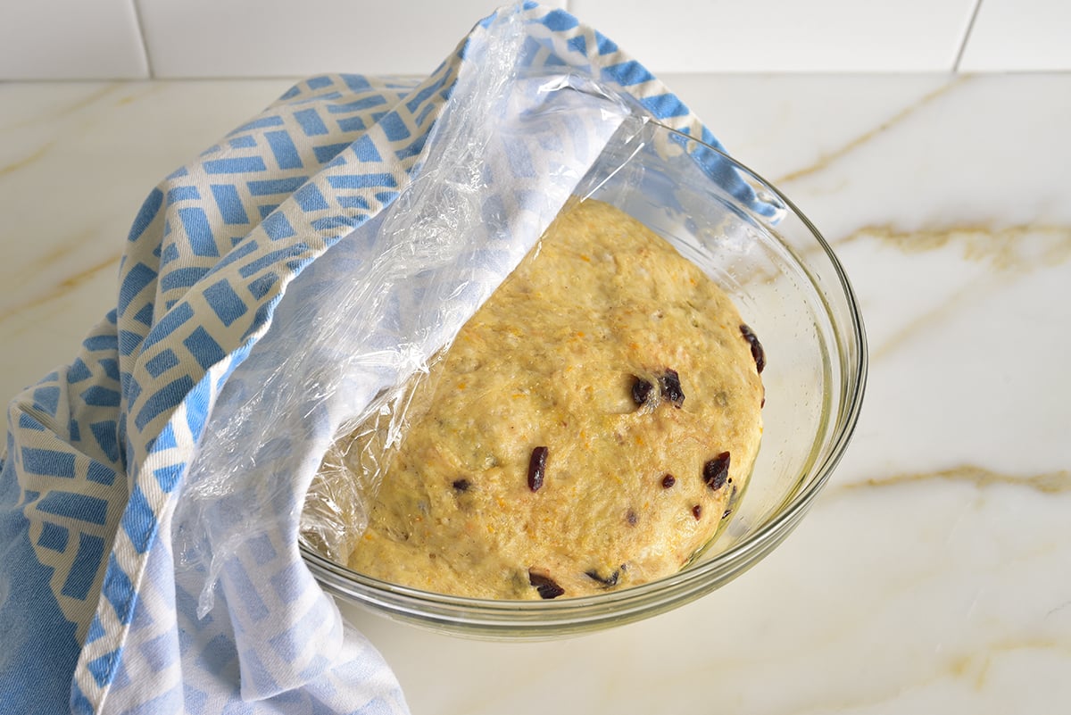 risen dough with dried fruit in it in a glass bowl with a blue towel beside it