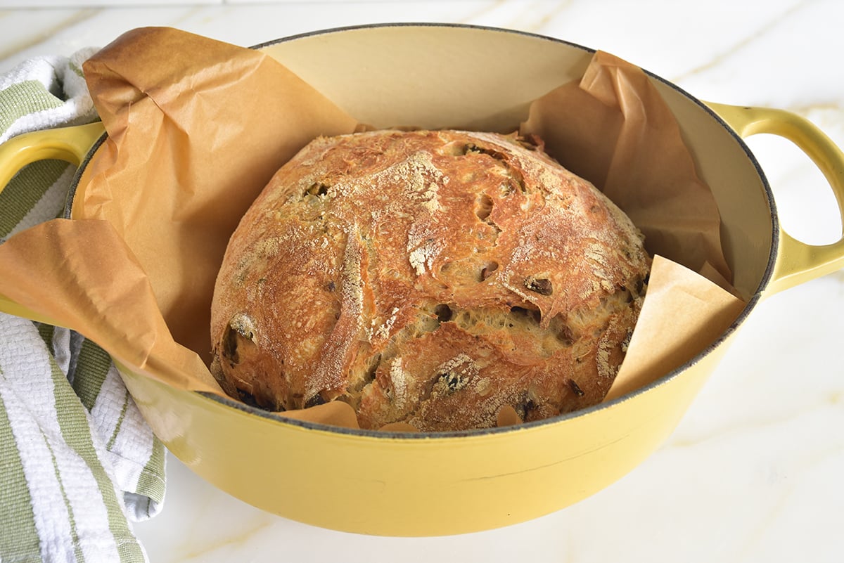 A golden brown loaf of olive bread in a dutch oven lined with parchment