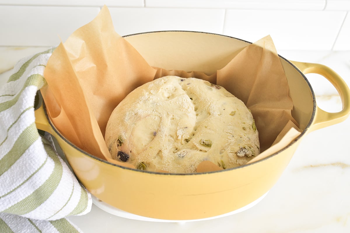 Round dough ball in parchment paper in a dutch oven